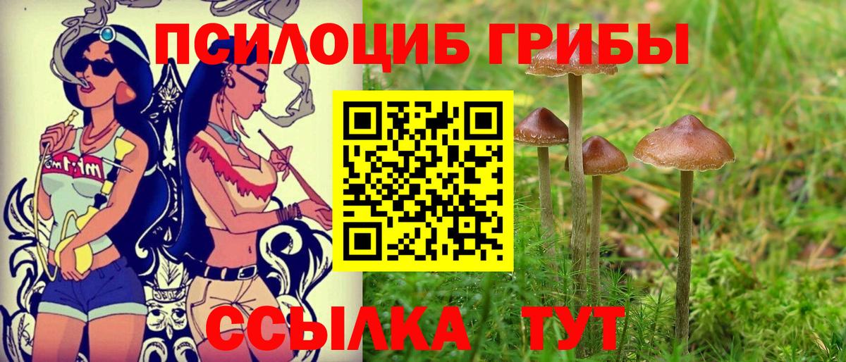 Псилоцибиновые грибы Magic Shrooms  Вход с VPN  Новороссийск  Галлюциногенные грибы GOLDEN TEACHER 